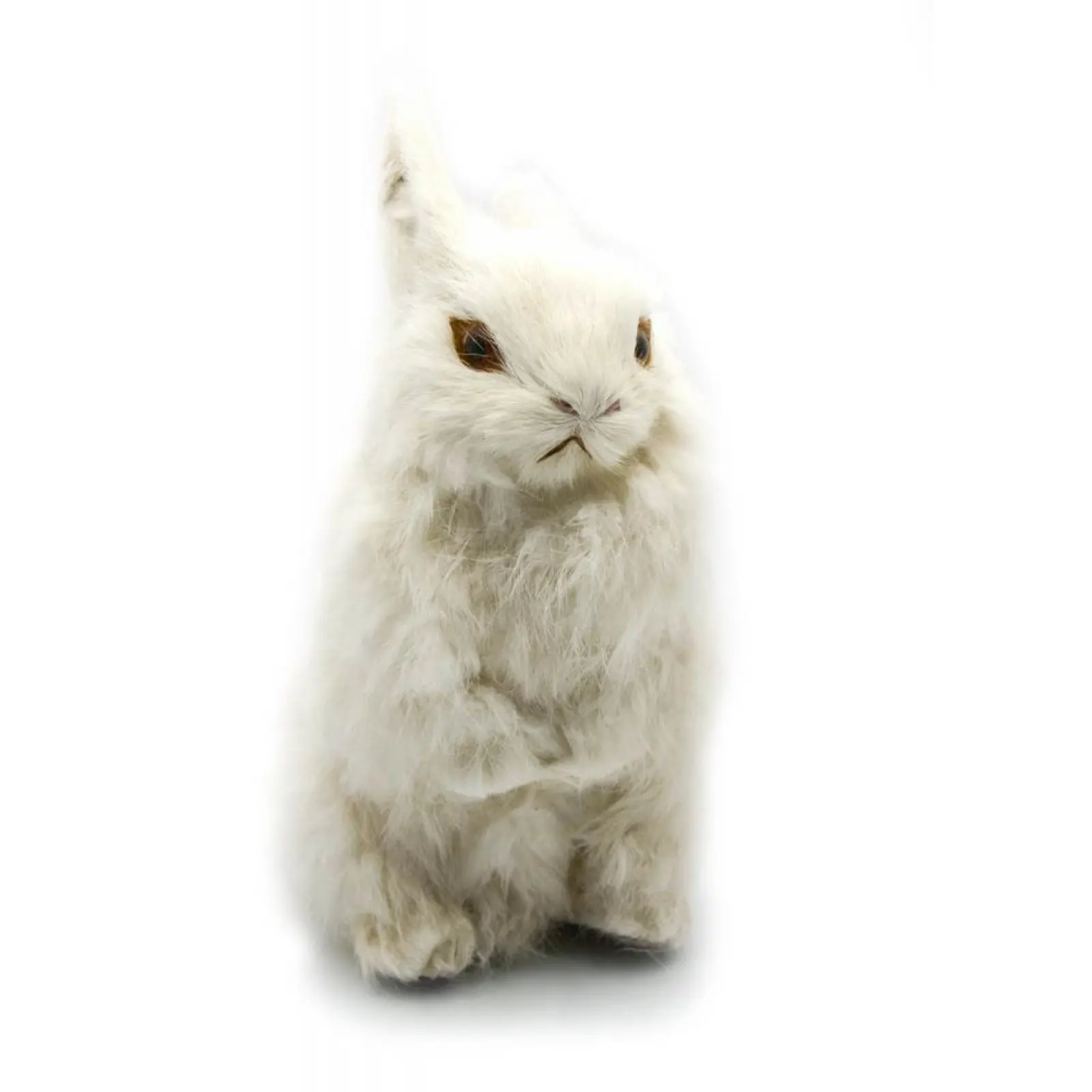 /assets/images/products/100294/1721312036.png