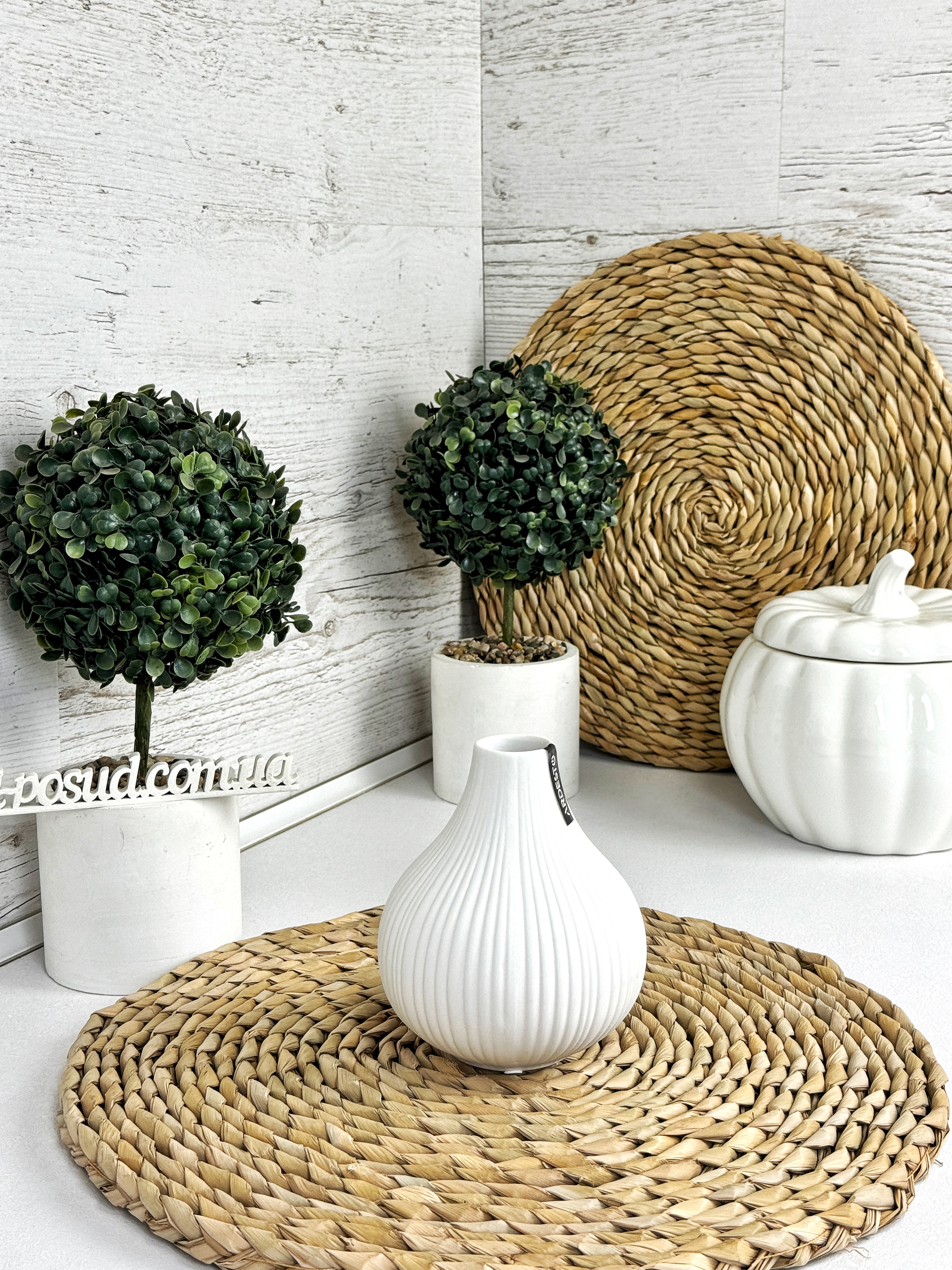 /assets/images/products/101795/1729062150.jpg