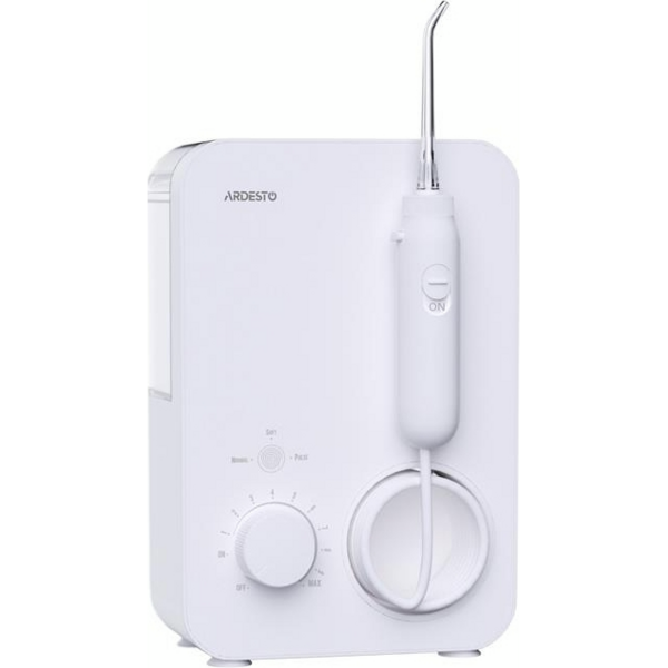 /assets/images/products/103817/1737457180.jpg