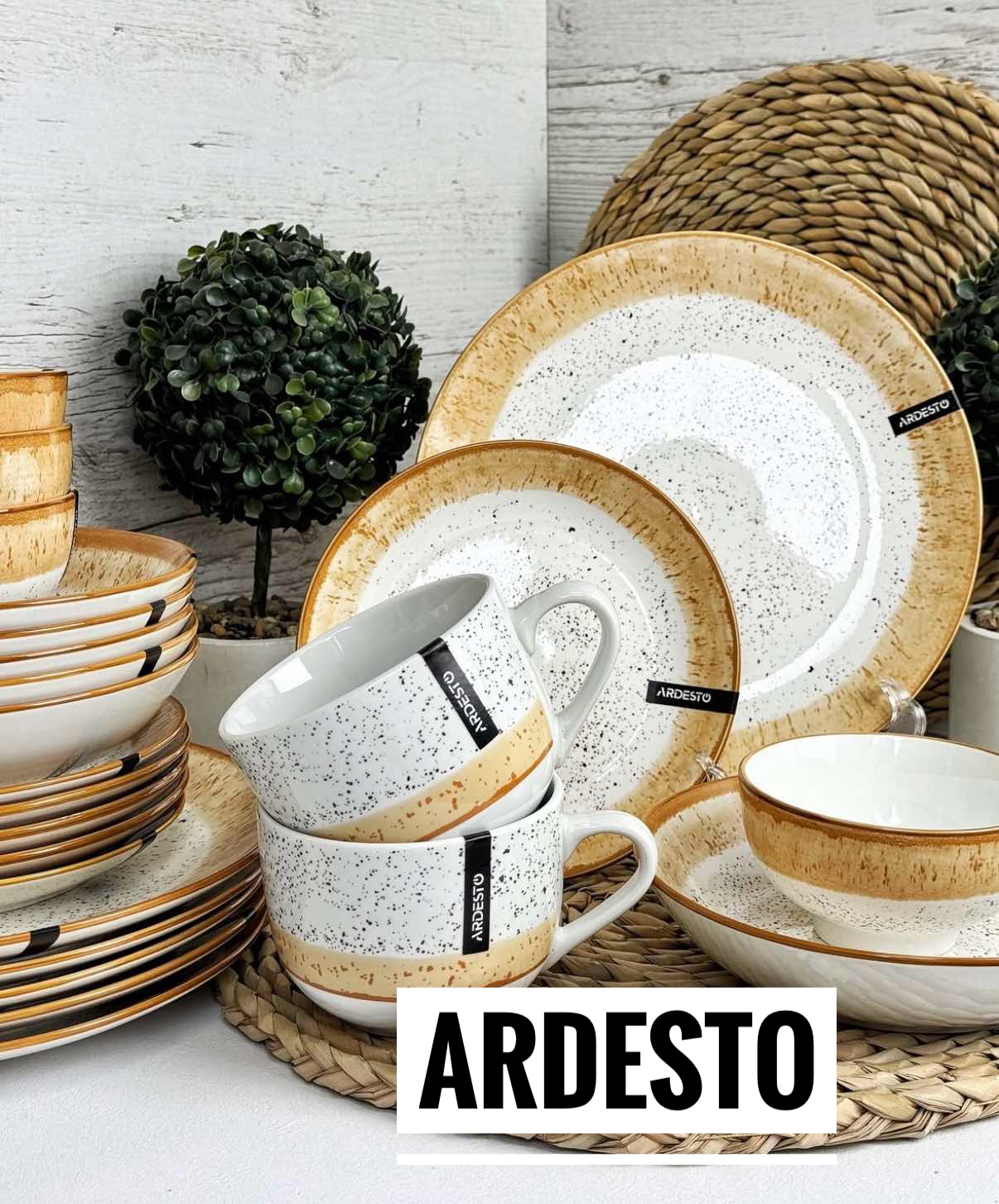 /assets/images/products/104742/1747826379.JPG