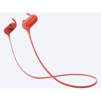 /assets/images/products/12010/1897218.jpg