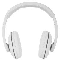 /assets/images/products/12081/1791798.jpg