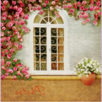 /assets/images/products/14165/1950772.png