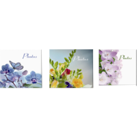 /assets/images/products/14167/1698058.png