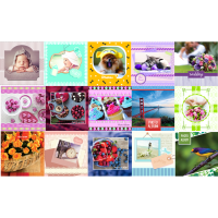 /assets/images/products/14181/1814212.png