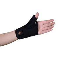 /assets/images/products/15230/1807174.jpg