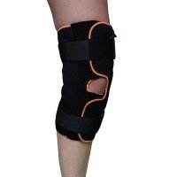 /assets/images/products/15295/2134239.JPG