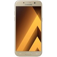 /assets/images/products/17203/2010299.jpg