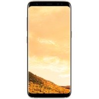 /assets/images/products/17217/1909642.jpg