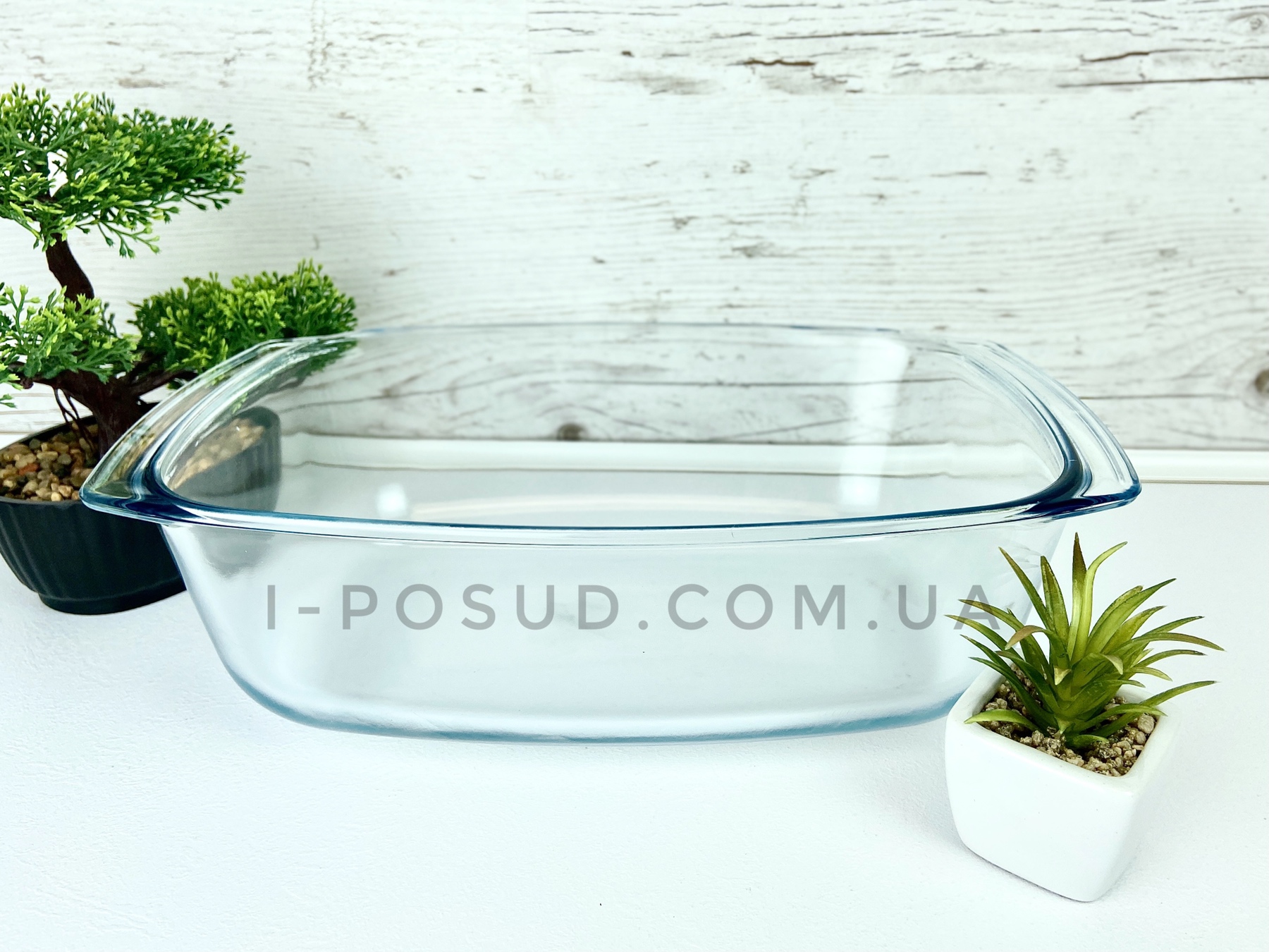 /assets/images/products/20055/1629985967.jpg