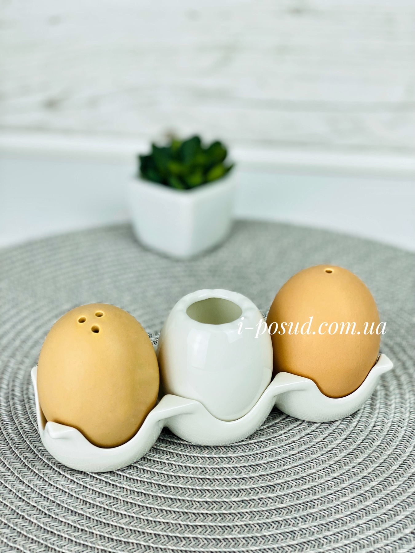 /assets/images/products/22847/1631542247.jpg