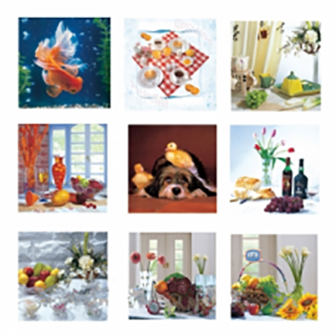 /assets/images/products/41955/1600593587.jpg