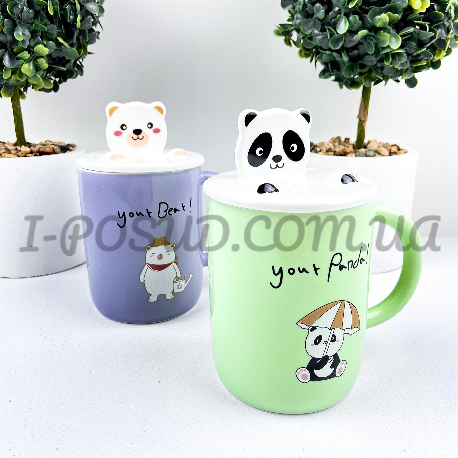 /assets/images/products/43885/1623075828.jpg
