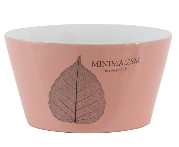 /assets/images/products/49305/1610288250.png
