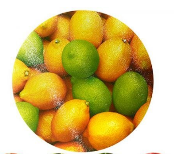 /assets/images/products/52509/1616741842.jpg