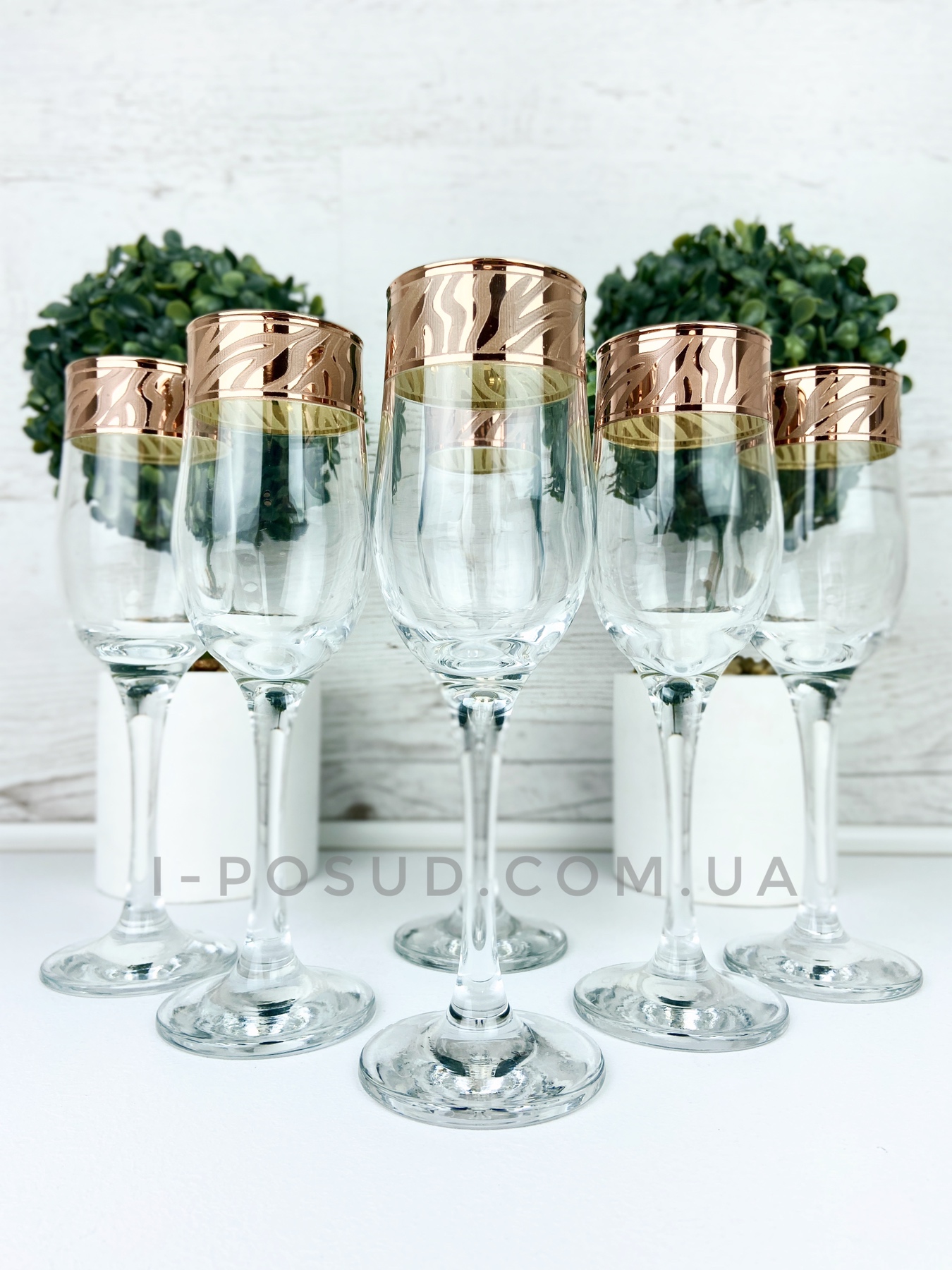 /assets/images/products/52545/1629791999.jpg