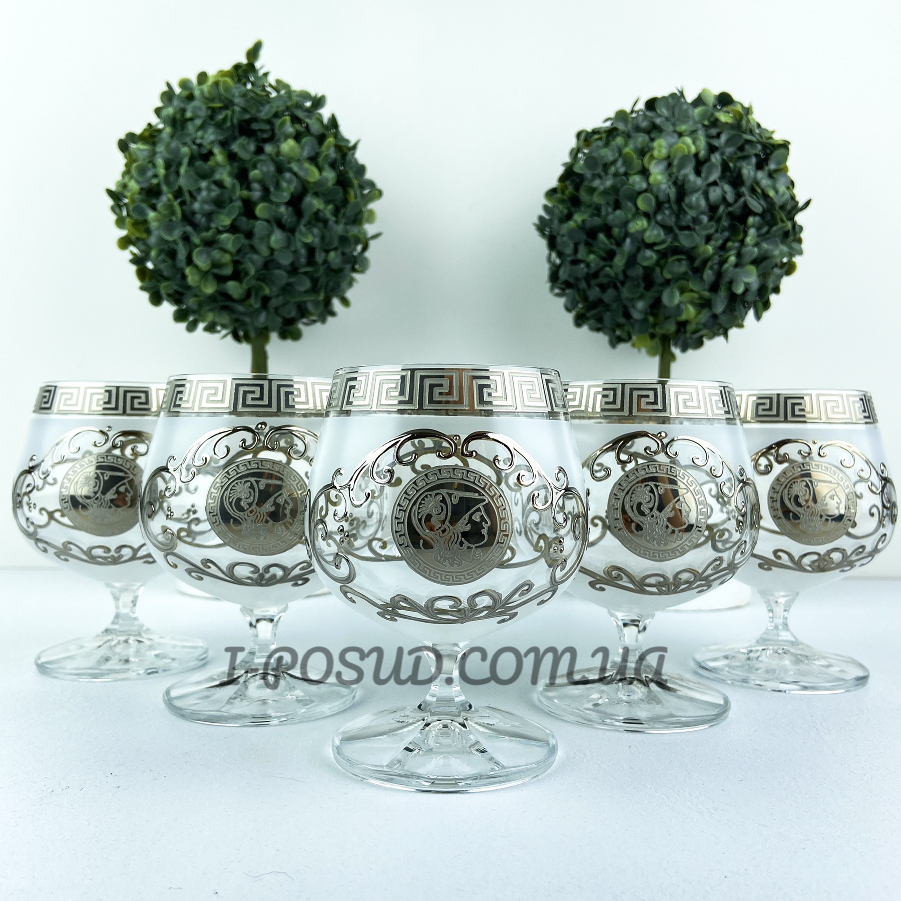 /assets/images/products/55625/1624864954.jpg