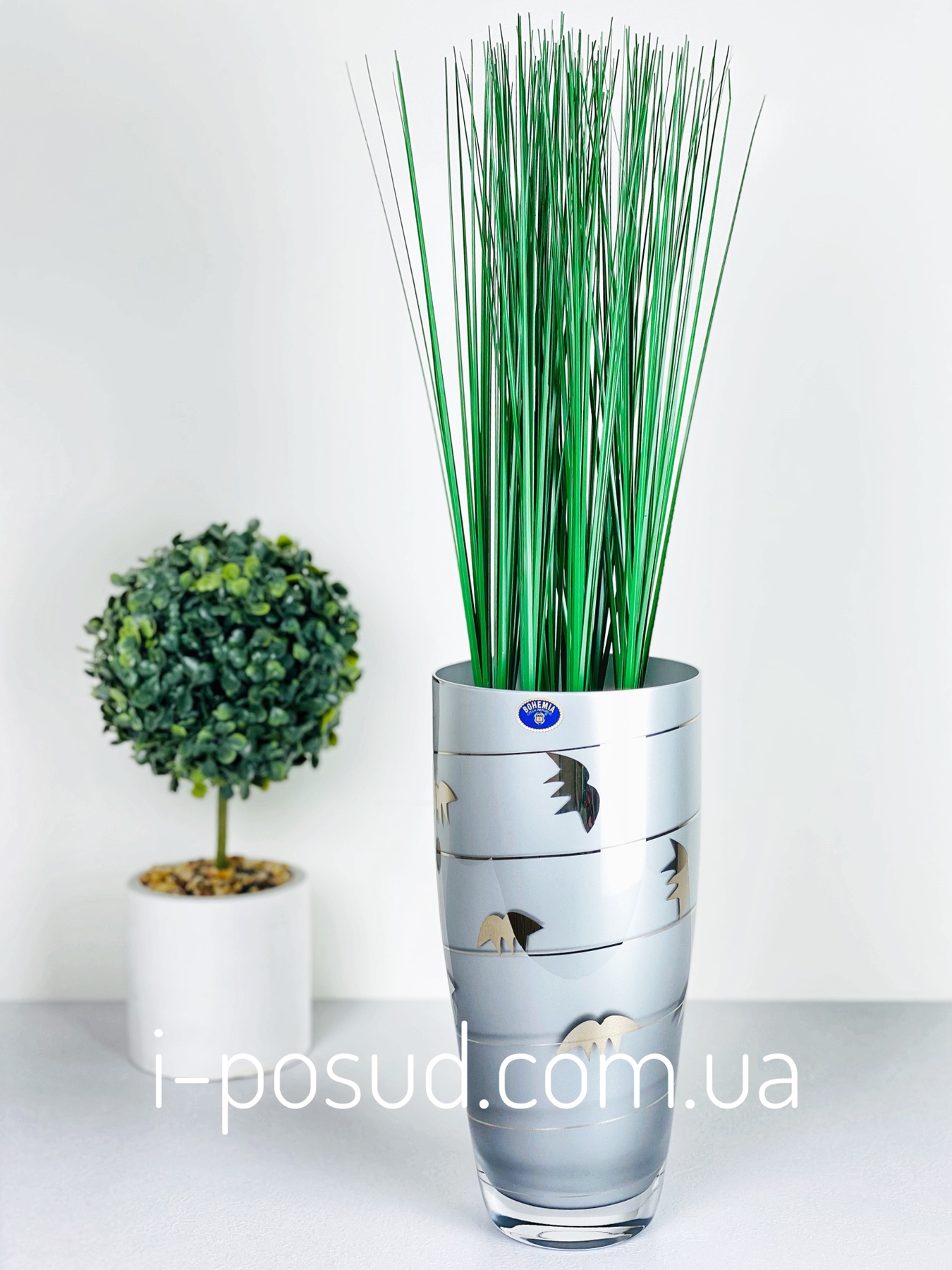 /assets/images/products/55627/1624865939.jpg
