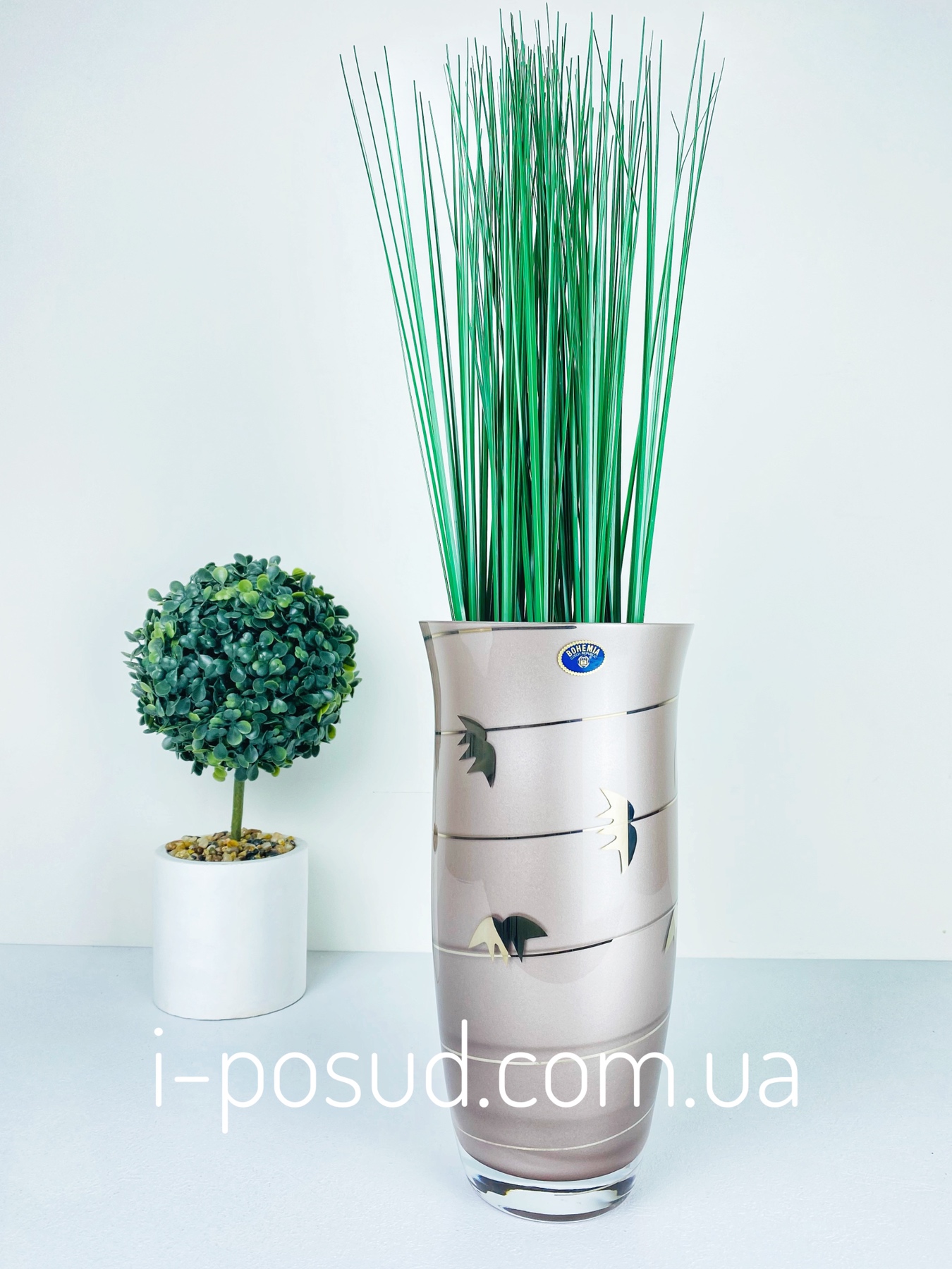/assets/images/products/55628/1624866180.jpg