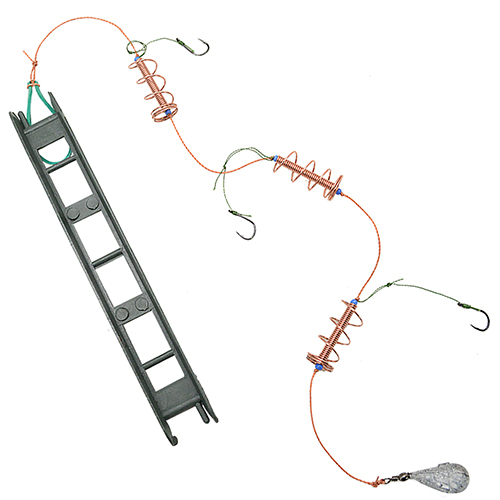 /assets/images/products/55650/1625039073.jpg