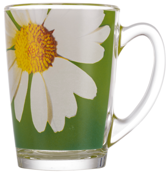 /assets/images/products/6054/1515669998.png