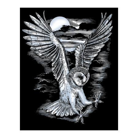 /assets/images/products/61602/SA0537.jpg
