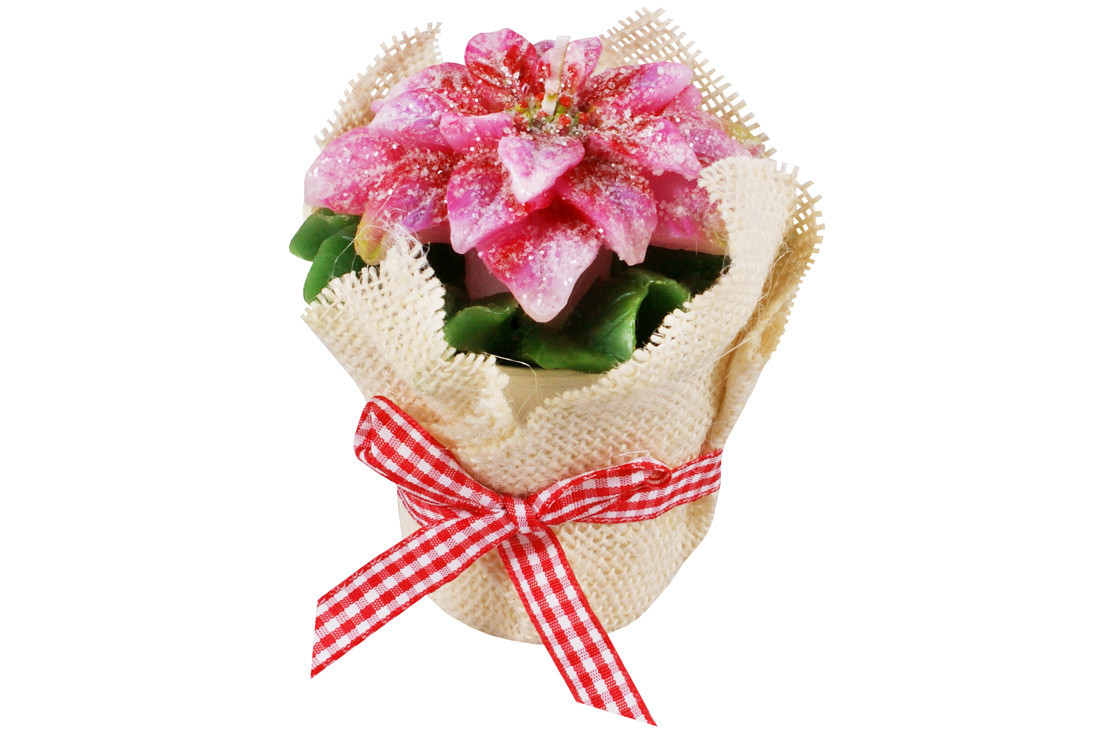 /assets/images/products/73902/1642507646.jpg