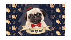 /assets/images/products/77885/1660740290.PNG