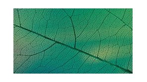 /assets/images/products/77926/1660979932.PNG