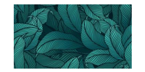/assets/images/products/77927/1660980020.PNG