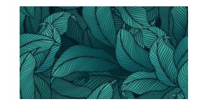 /assets/images/products/77927/1660980020.PNG