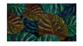/assets/images/products/77928/1660980094.PNG