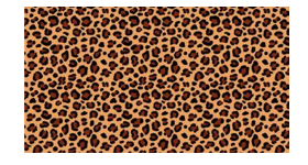 /assets/images/products/77941/1660982745.PNG