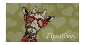 /assets/images/products/77959/1661002249.PNG