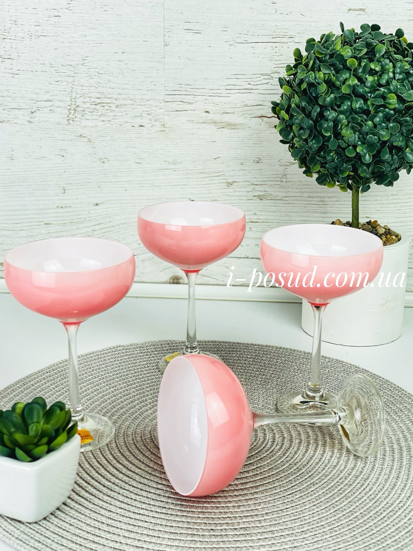 /assets/images/products/79769/1663591269.jpg