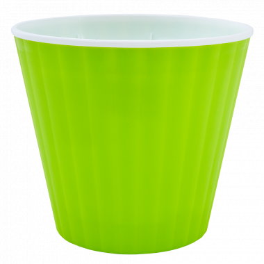 /assets/images/products/79862/1663687608.png