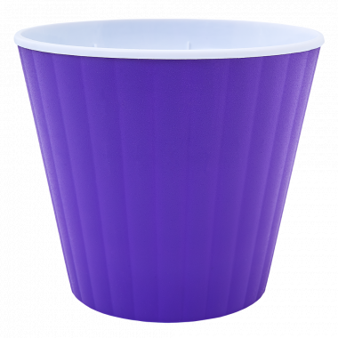 /assets/images/products/79863/1663687674.png