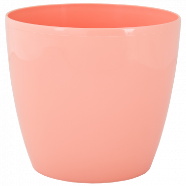 /assets/images/products/79882/1663691883.png