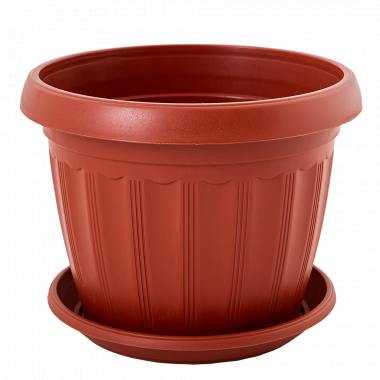 /assets/images/products/79963/1663751329.png