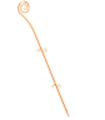 /assets/images/products/79989/1663757292.PNG