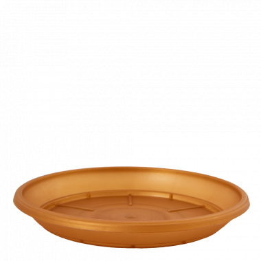 /assets/images/products/80002/1663758819.png