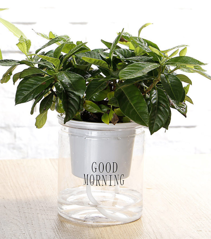 /assets/images/products/82191/1667506764.jpg