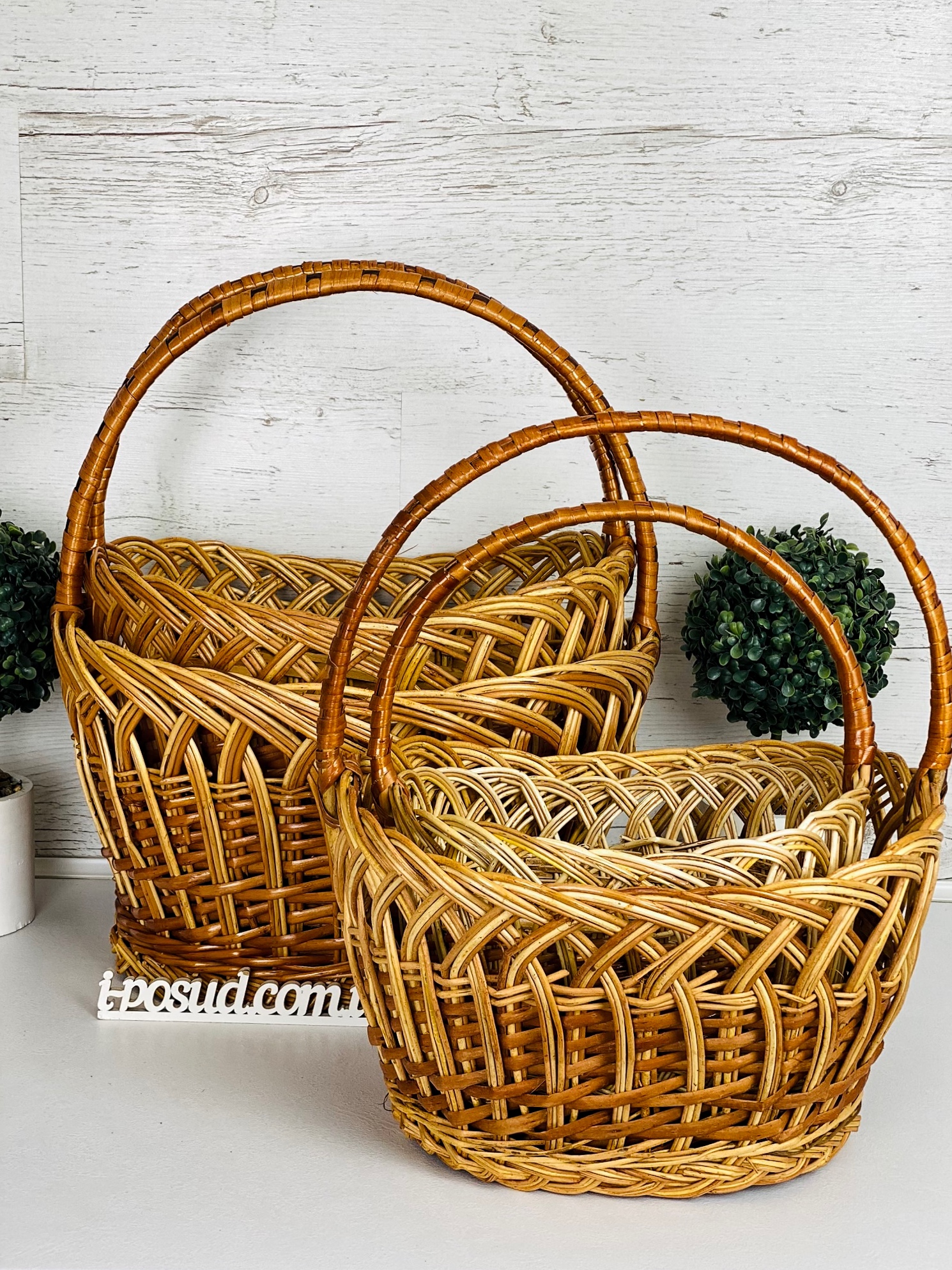 /assets/images/products/86070/1680698301.jpg