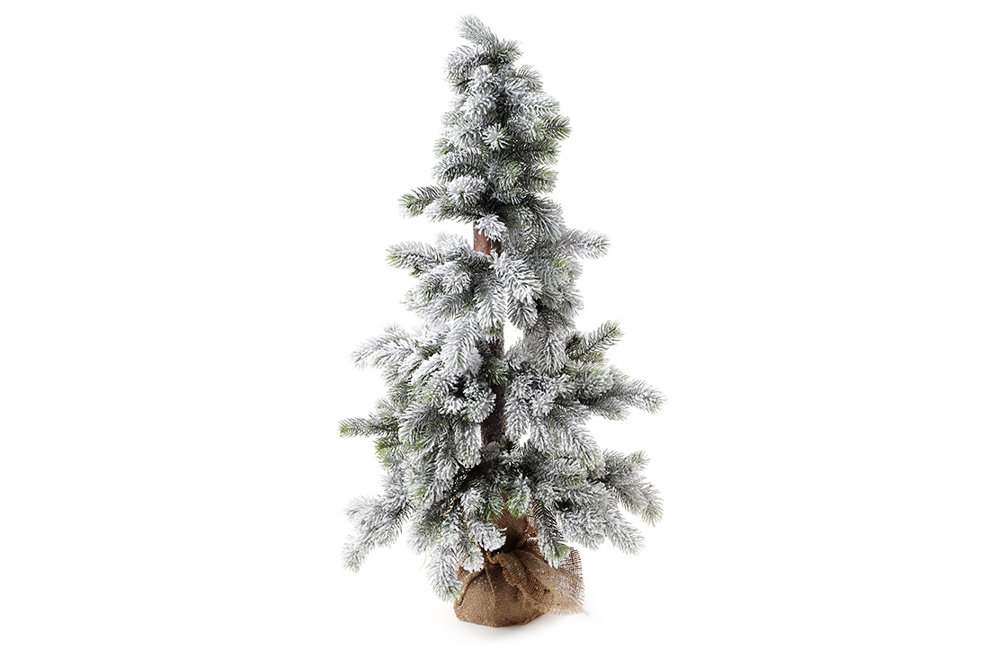 /assets/images/products/88763/1687256151.jpg