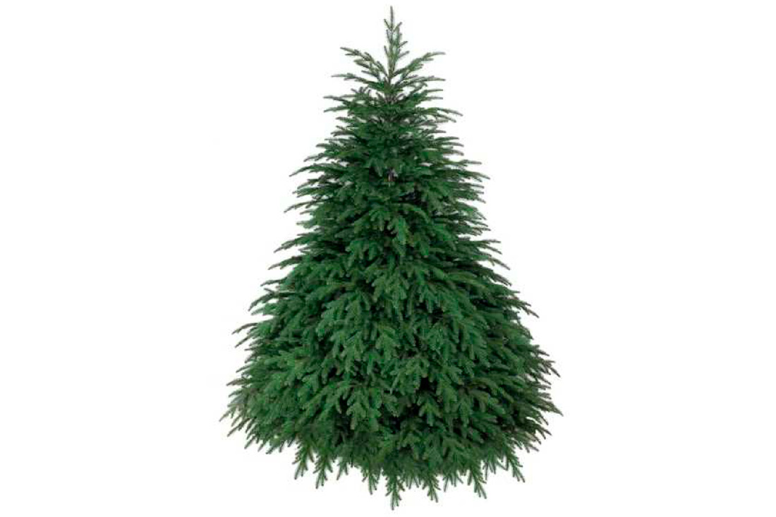 /assets/images/products/88917/1687353753.jpg