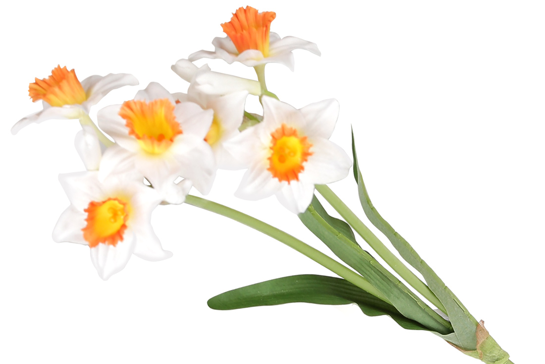 /assets/images/products/89147/1687956589.jpg