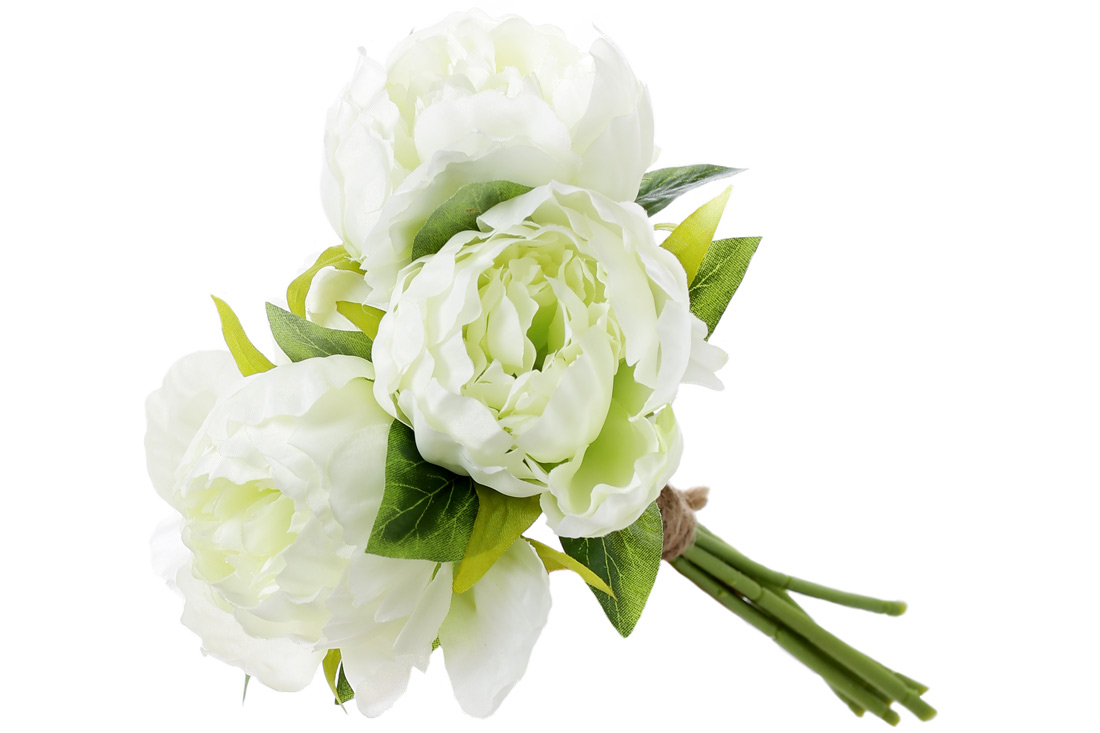 /assets/images/products/89148/1687957560.jpg