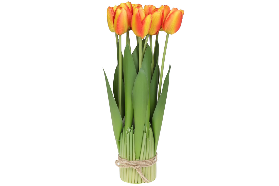 /assets/images/products/89175/1688026059.jpg