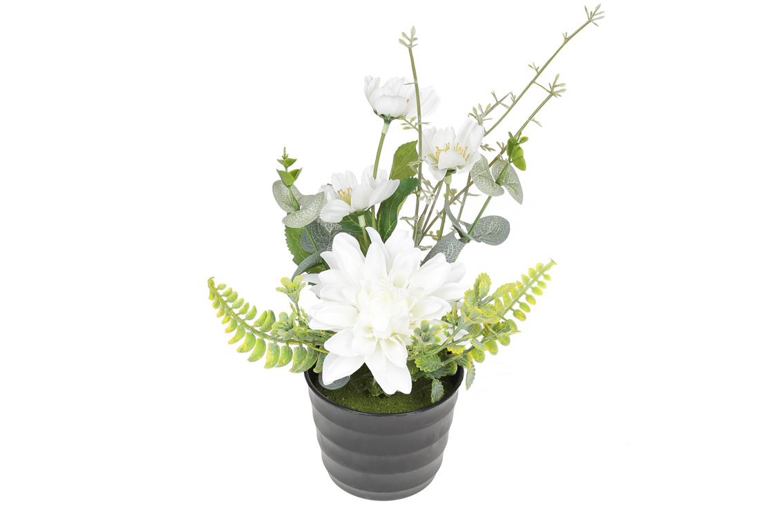 /assets/images/products/89178/1688026462.jpg