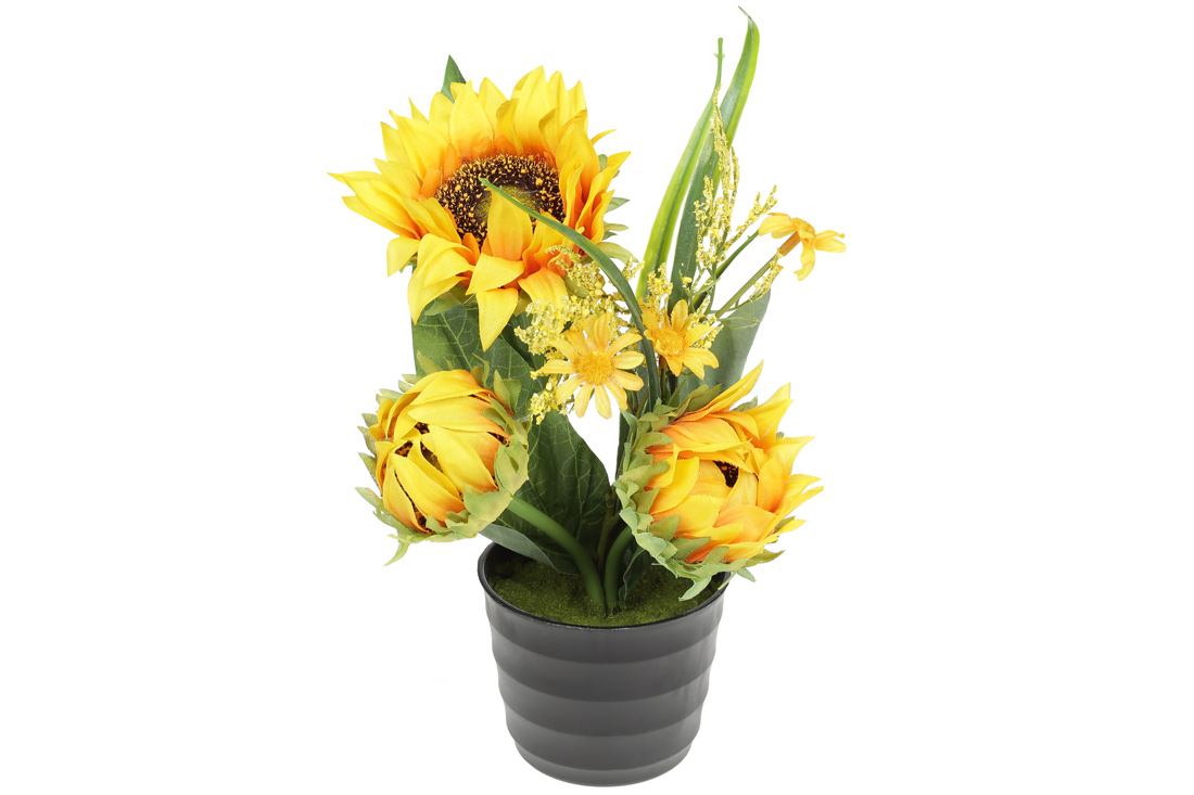 /assets/images/products/89179/1688026621.jpg
